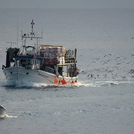 Eden 3* Νέοι Πόροι