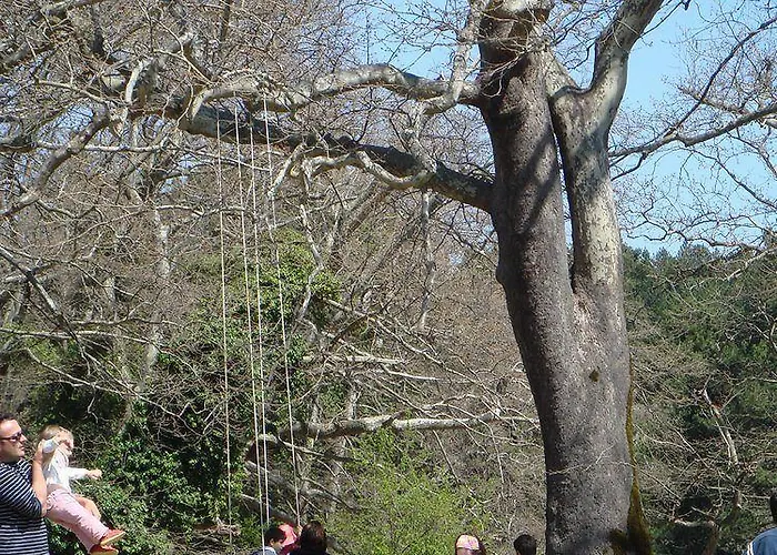 Eden Hotel Néoi Póroi