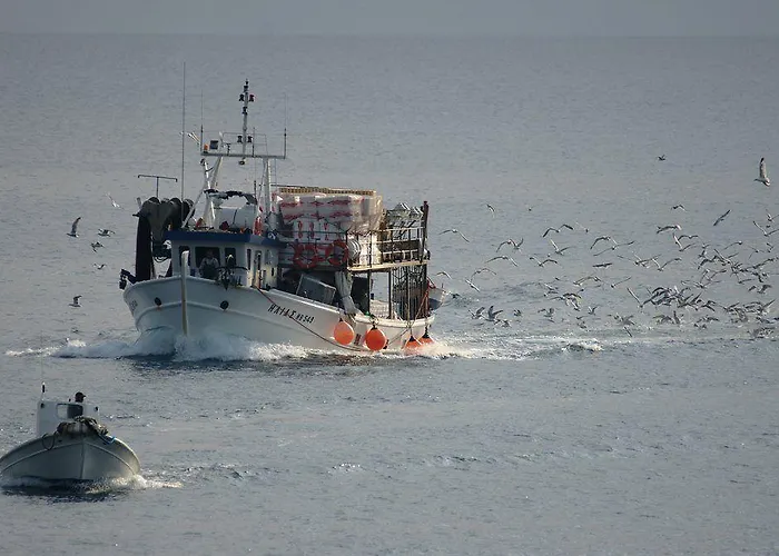 Eden 3* Néoi Póroi